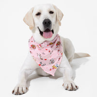 Love Kittens Bamboo Matching Pet Bandana