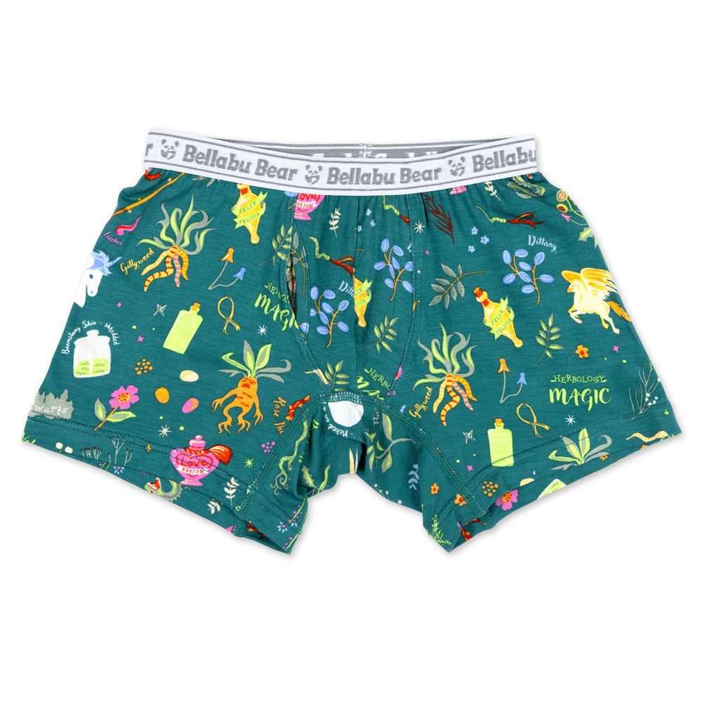 House Pride Boy's Boxer Brief Underwear 3-Pack