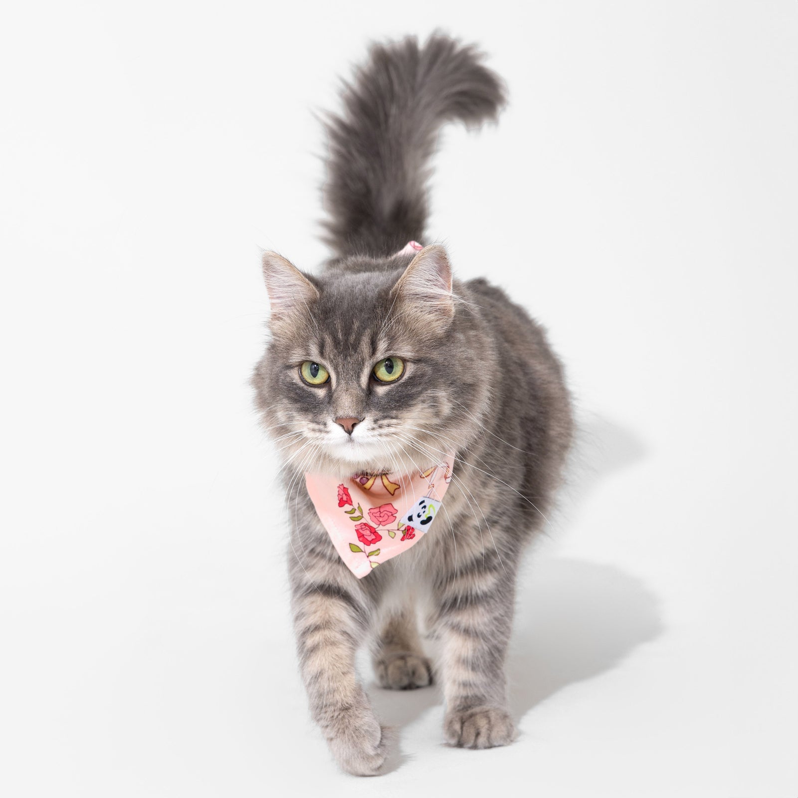 Bows & Blooms Bamboo Matching Pet Bandana