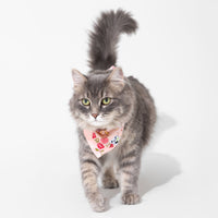 Bows & Blooms Bamboo Matching Pet Bandana