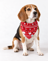 Polar Isle Red Bamboo Matching Pet Bandana
