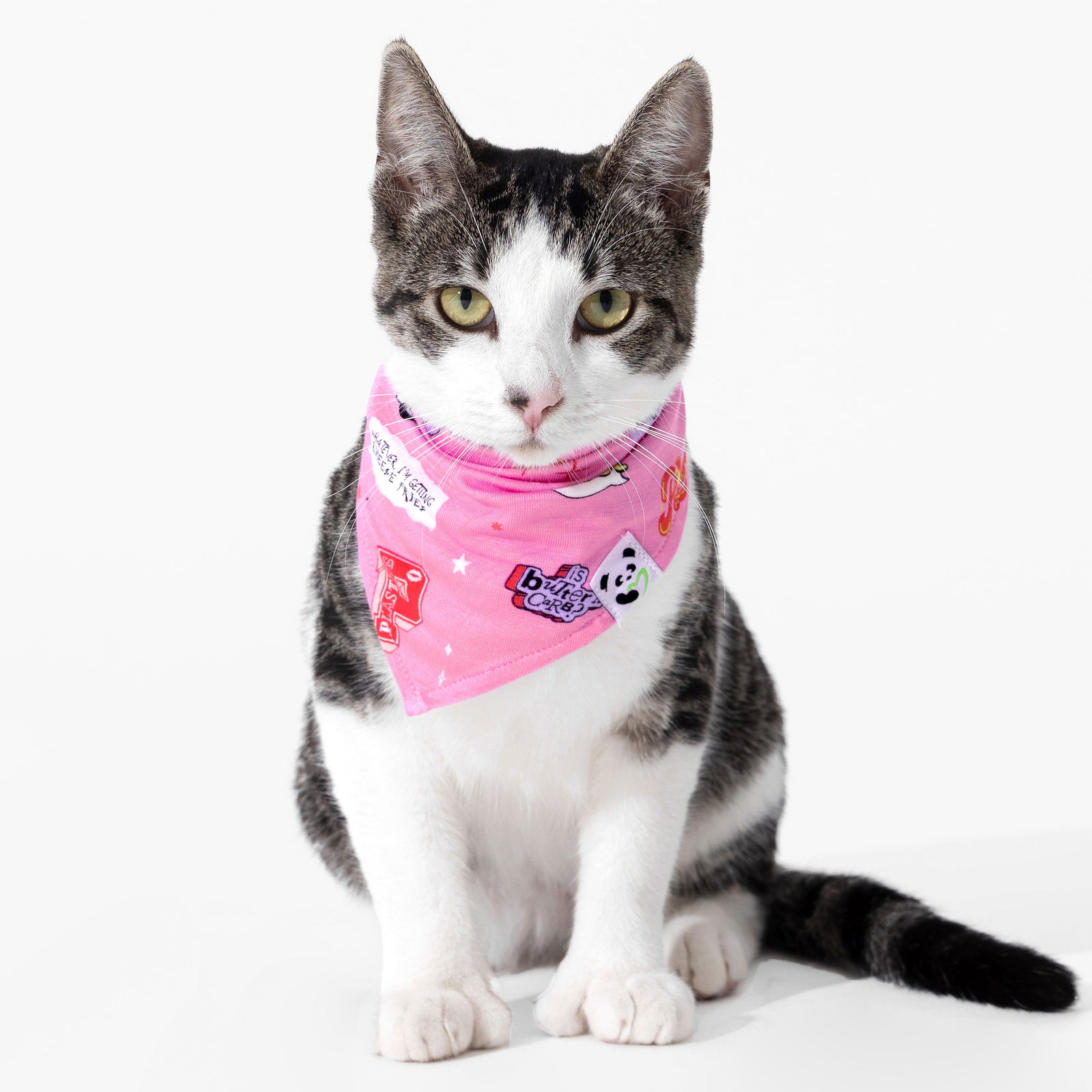 Mean Girls: So Fetch Bamboo Matching Pet Bandana