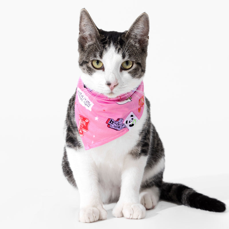Mean Girls: So Fetch Bamboo Matching Pet Bandana