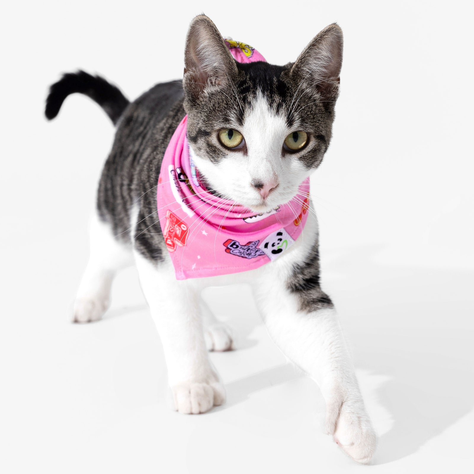 Mean Girls: So Fetch Bamboo Matching Pet Bandana