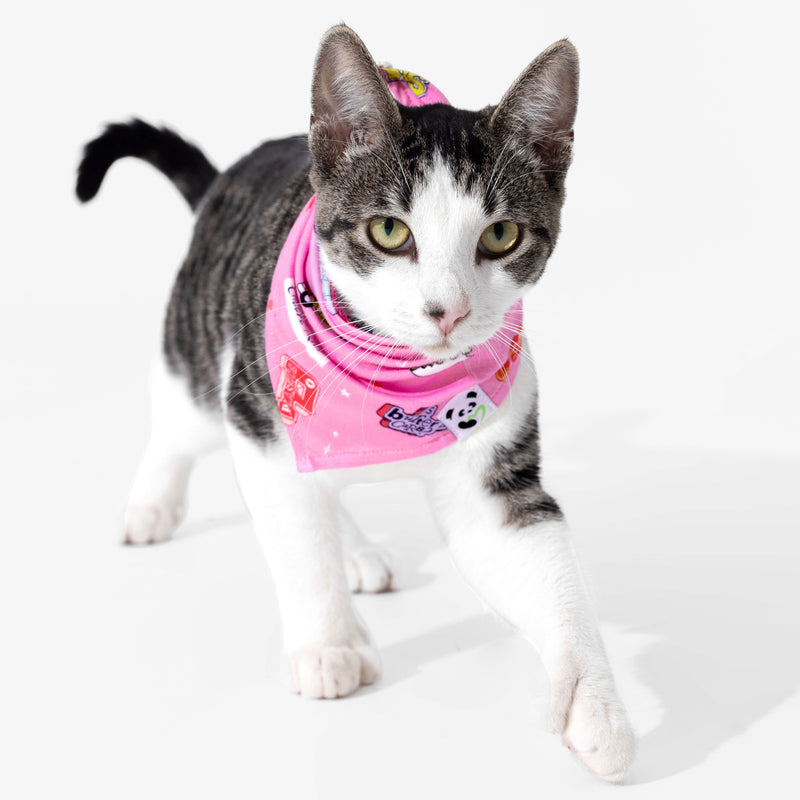 Mean Girls: So Fetch Bamboo Matching Pet Bandana