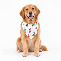 The Elf on the Shelf Bamboo Pet Bandana