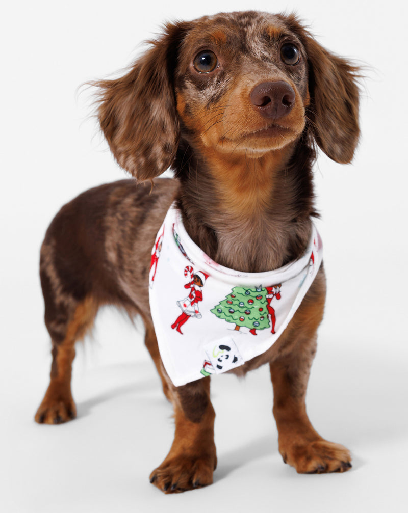 The Elf on the Shelf Bamboo Pet Bandana