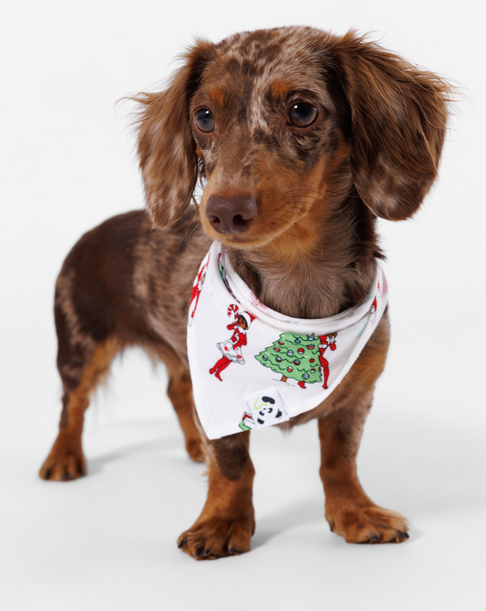 The Elf on the Shelf Bamboo Pet Bandana