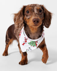 The Elf on the Shelf Bamboo Pet Bandana