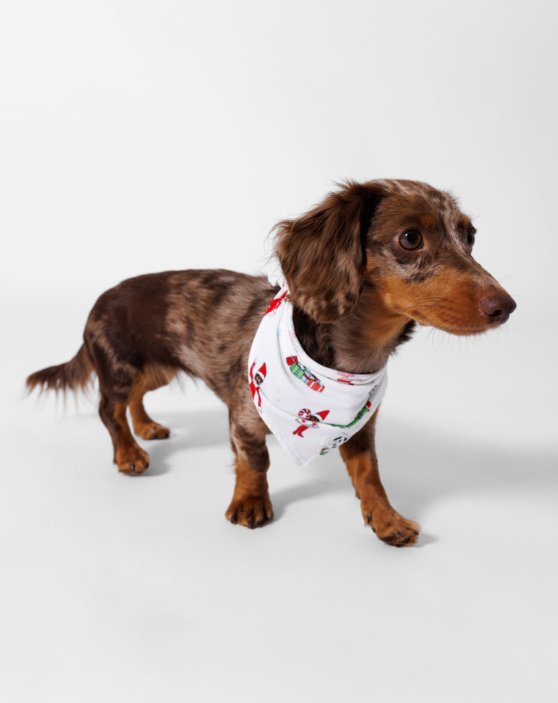 The Elf on the Shelf Bamboo Pet Bandana