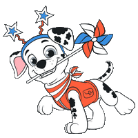 Animation Image
