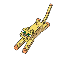Animation Image