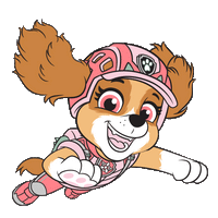 Animation Image
