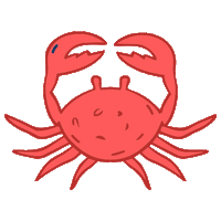 Animation Image