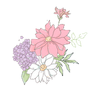 Animation Image