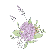 Animation Image