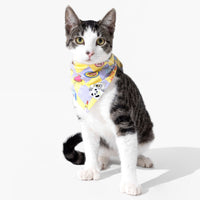 Clueless As If! Bamboo Matching Pet Bandana