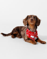 Polar Isle Red Bamboo Matching Pet Bandana