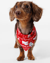 Polar Isle Red Bamboo Matching Pet Bandana