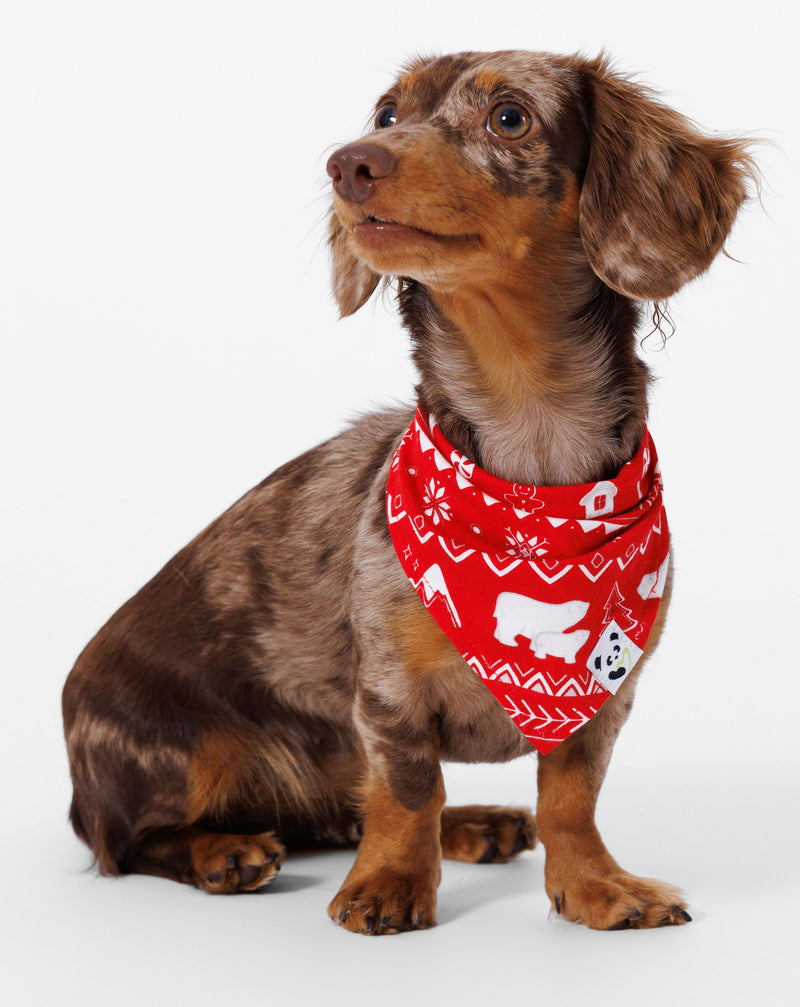 Polar Isle Red Bamboo Matching Pet Bandana