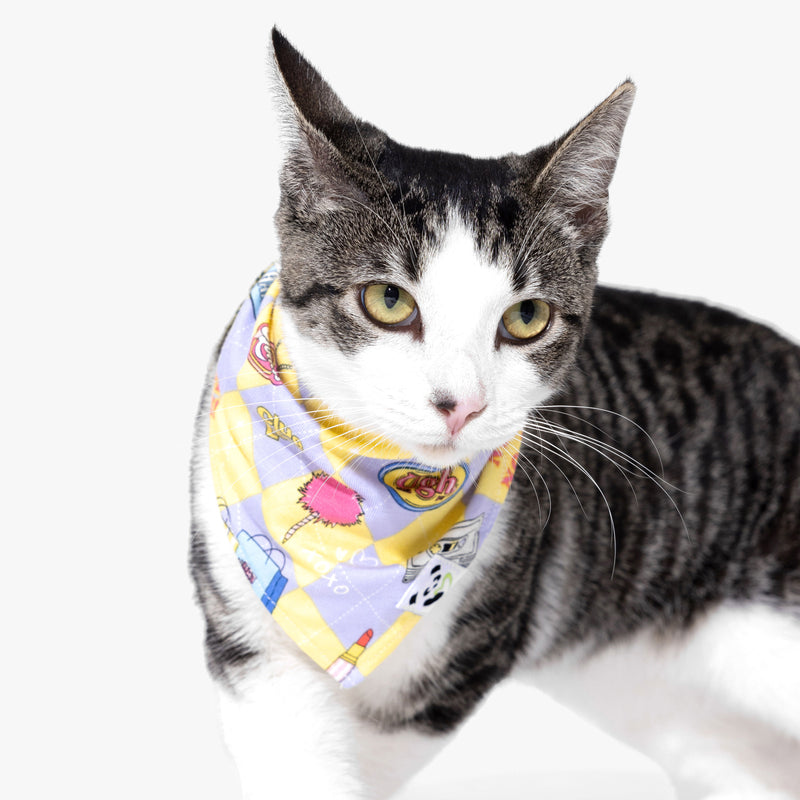 Clueless As If! Bamboo Matching Pet Bandana